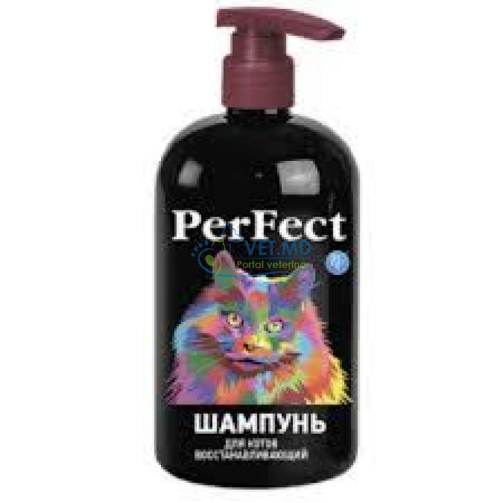 PerFect shampoo for short-haired cats